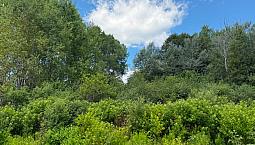 1-Acre Building Lot For Sale – Blackville, Nb