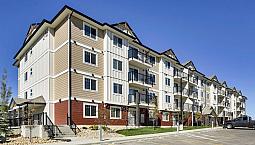 Pet-Friendly One Bedroom One Bath With In-Suite Laundry For Rent