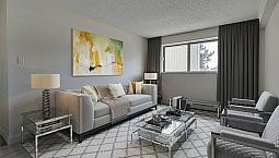 1 Bedroom Basement - 186  Pinehouse Dr.