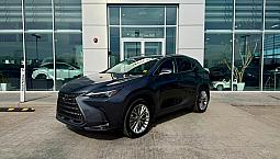 2026 Lexus Nx