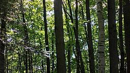149 000$ - Terrain Résidentiel À Vendre À Rawdon