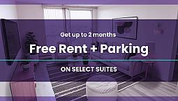 Albert Park Apartment For Rent | Rob 4020
