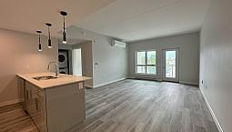 Brand New, Pet Friendly 1Bed/1Bath Near University Of Manitoba