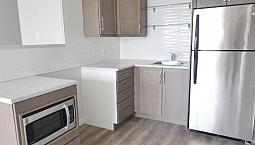Renovated 1 Bedroom, Downtown!