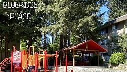 Stunning 2 Bedroom/1 Bath In Beautiful Seymour Heights