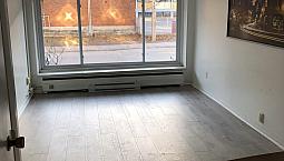 Studio Ensoleillé À Côté Du Parc Maisonneuve. Rosemont