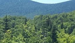 95 000$ - Terrain Résidentiel À Vendre À Notre-Dame-Des-Bois