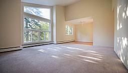 Great 1 Bedroom In Clayton Park