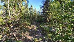 Lot 11 Evergreen Drive Lone Butte, British Columbia