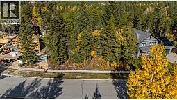 1520 Quartz Crescent Golden, British Columbia