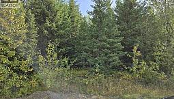 Lot 4 Pollard Road Quesnel, British Columbia