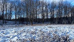 375 000$ - Terre À Bois À Vendre À Compton