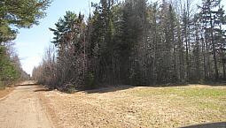 New Price, 11 Acres For Sale, Cocagne Area.