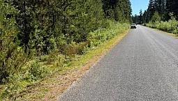 Lot 3 Palmer Rd Errington, British Columbia