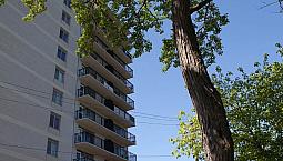 December  Two  Bed  In  Rockcliffe Park Only $1799.00