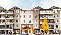 Pet-Friendly Two Bedroom Two Bath With In-Suite Laundry For Rent