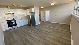 1 Bedroom - Brand New Never Lived In Unit