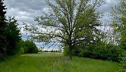 0 David Street Bifrost Rm, Manitoba