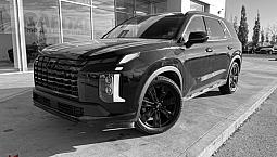 2024 Hyundai Palisade Urban | One Owner Accident Free Carfax