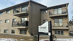Spacious 1 Bedroom Cat Friendly Suite In Clearview!