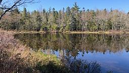 Bear Trap At Ponhook Lake Close To Bridgewater Ns