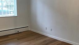 Bright, Spacious One Bedroom Close To Stanley Park