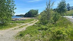 Ocean Frontage Land Right In The Heart Of Clarenville