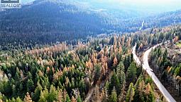 766 Drakes Road Rossland, British Columbia