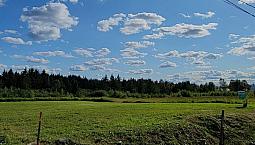 65 000$ - Terrain Résidentiel À St-Prosper-De-Dorchester