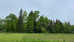 Leitches Creek Road. Leitches Creek , Ns, B2A 4A9