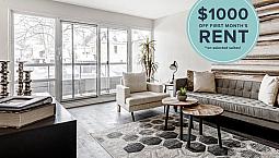 Great Priced One Bed Apartment - Near Downtown/wortley/vic