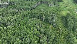 76 Acre Hunters Retreat Land Hudson Bay, Saskatchewan