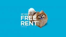 Pet-friendly Two Bedroom One Bath With In-suite Laundry For Rent