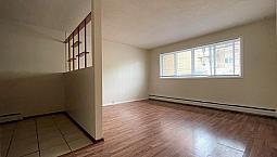 Viceroy - One Bedroom Apartment For Rent