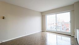 One Month Free!!   1 Bedroom Centretown -  Elgin/bank/downtown