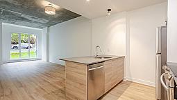 31/2,1,chambres,louer,rent,centre-ville,montréal,mont-royal
