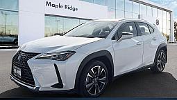 2020 Lexus Ux Ux 250h | Backup Camera | Blind Spot Assist