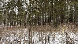 60 000$ - Terrain Résidentiel À Vendre À St-Marc-Du-Lac-Long