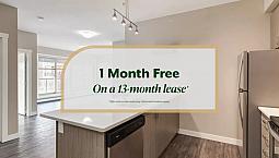 In-Suite Laundry, Stove, Oven, Fridge, Dishwasher, And Microwave