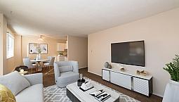 1 Bedroom - 5207 39 St.