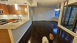 301 7362 Elmbridge Way Richmond, British Columbia