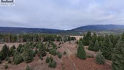 Squilax-Anglemont Road Lot# 1 Magna Bay, British Columbia