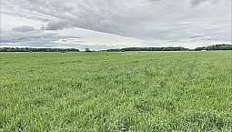 750 000$ - Terre Agricole À Vendre À St-Gerard-Majella