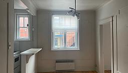 3 1/2 Dans Un Charmant Immeuble À Deux Pas Du Mile End