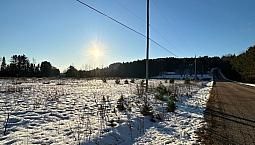 135 000$ - Terrain Résidentiel À Vendre À Lac-Des-Ecorces