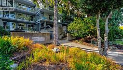 206 2022 Foul Bay Rd Victoria, British Columbia