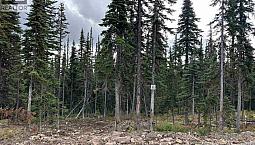 Pr. St Lt 15 Alpine Way Smithers, British Columbia