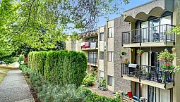 Park Astoria Apartments - Bachelor Available At 430 11th Street,