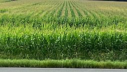1 200 000$ - Terre Agricole À Vendre À St-David
