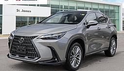 2024 Lexus Nx 350 | Local One Owner | Ultra Luxury Pkg